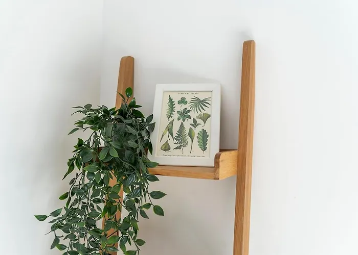 L'horizon St Roch, Vue Sur Centre-ville Et Garage شقة مونبيلييه